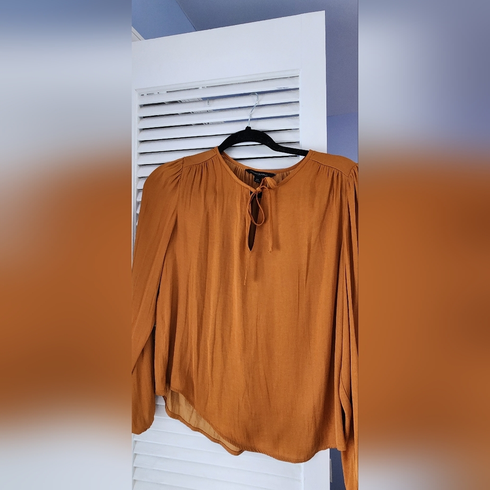 Banana Republic Silk Rust Orange Long Sleeve Blouse